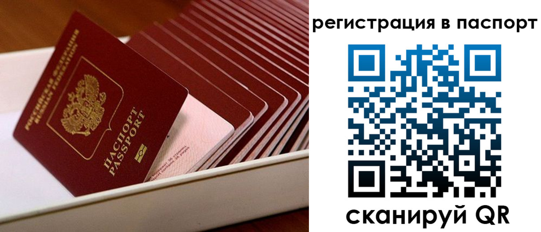 форма 3 в Красноярском крае